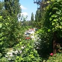20140810_121643